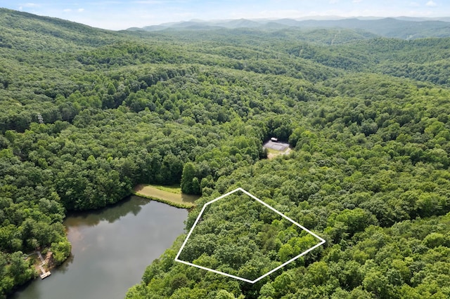 430 Lakeview Dr, Saluda, NC 28773 - photo 2