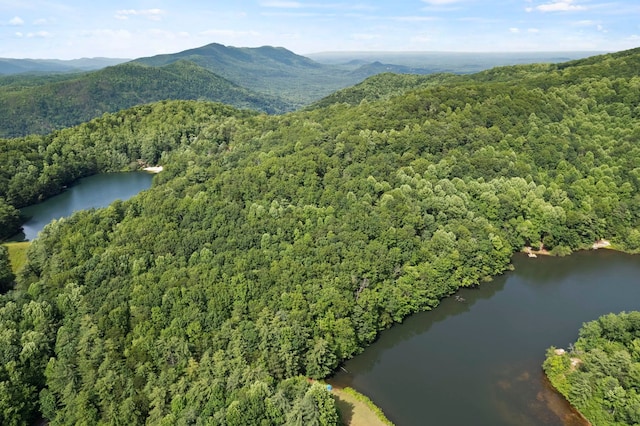 430 Lakeview Dr, Saluda, NC 28773 - photo 6