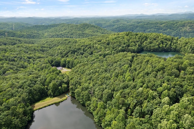 430 Lakeview Dr, Saluda, NC 28773 - photo 8