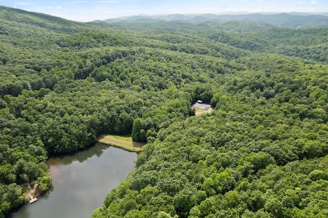 430 Lakeview Dr, Saluda, NC 28773 - photo 9