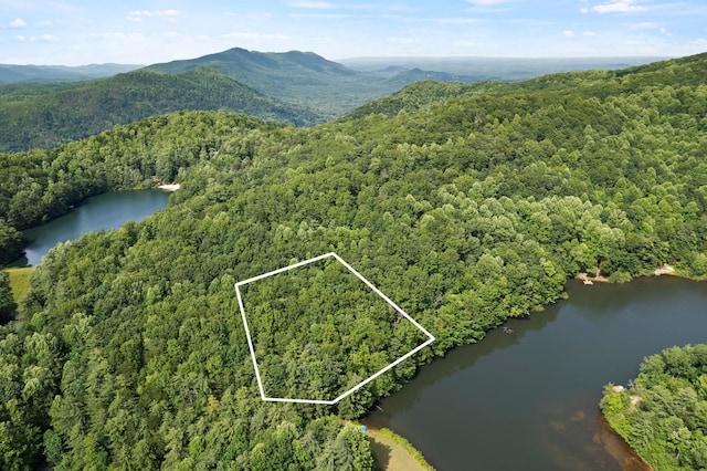 430 Lakeview Dr, Saluda, NC 28773 - photo 13