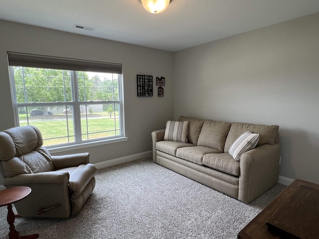 1523 Old Canaan Rd, Spartanburg, SC 29306 - photo 18