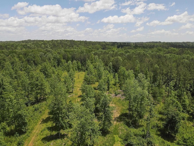 2051 Whitestone Rd, Spartanburg, SC 29302 - photo 29