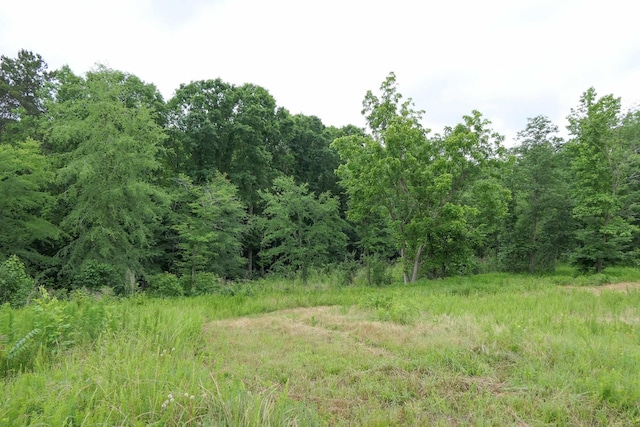 2051 Whitestone Rd, Spartanburg, SC 29302 - photo 32
