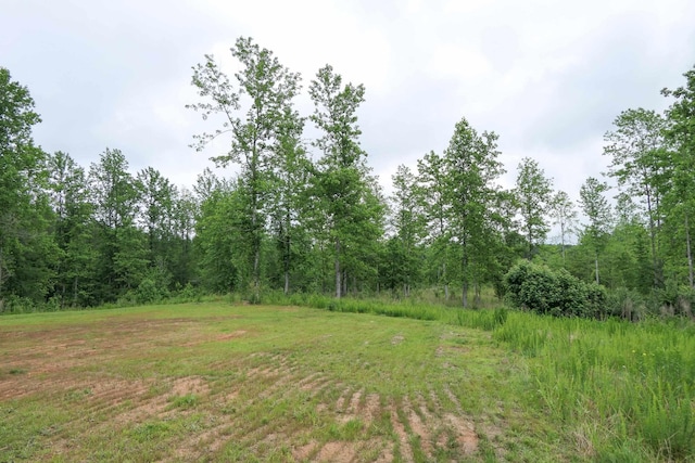 2051 Whitestone Rd, Spartanburg, SC 29302 - photo 33