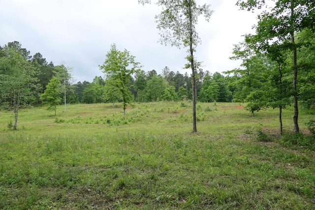 2051 Whitestone Rd, Spartanburg, SC 29302 - photo 35