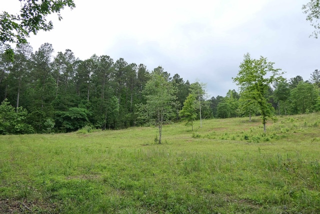 2051 Whitestone Rd, Spartanburg, SC 29302 - photo 36
