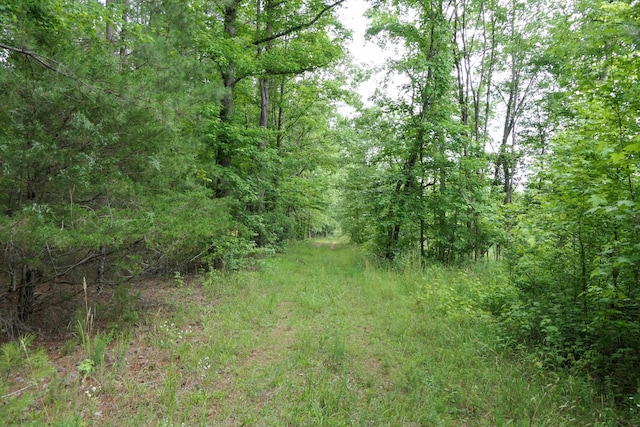 2051 Whitestone Rd, Spartanburg, SC 29302 - photo 40