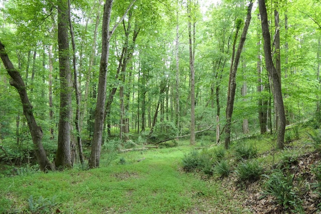 2051 Whitestone Rd, Spartanburg, SC 29302 - photo 41
