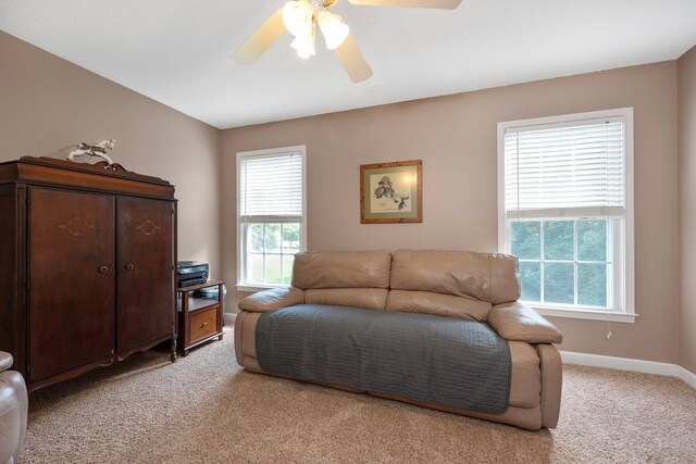 111 Brooke Lee Cir, Taylors, SC 29687 - photo 20