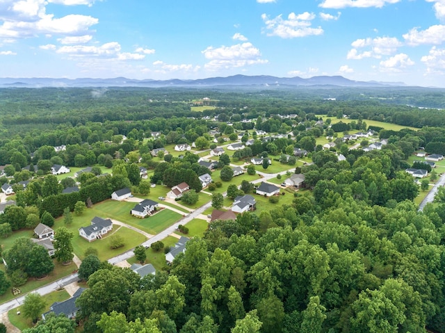 111 Brooke Lee Cir, Taylors, SC 29687 - photo 47