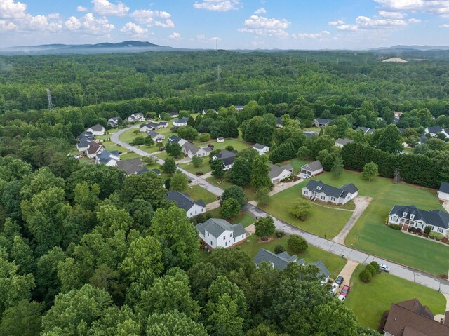 111 Brooke Lee Cir, Taylors, SC 29687 - photo 50
