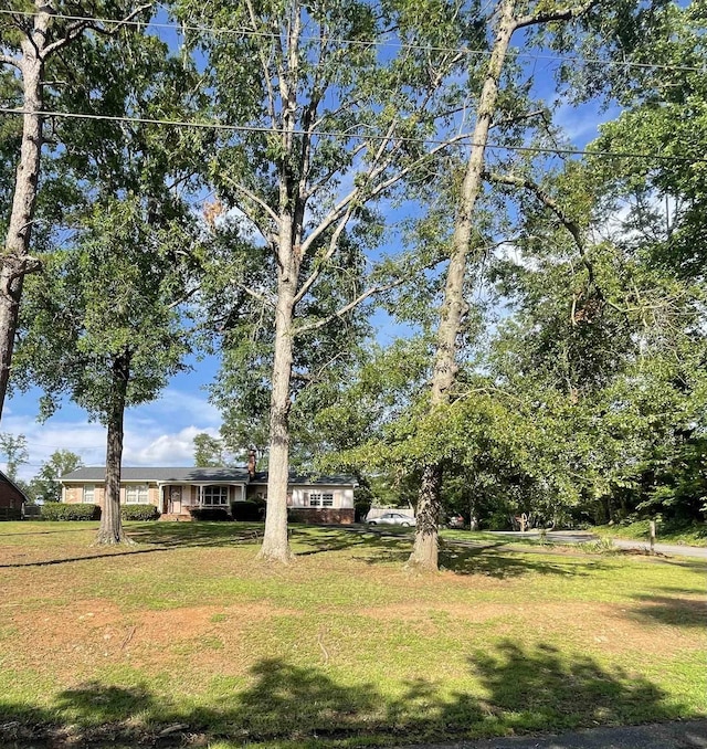 501 Briarwood Rd, Spartanburg, SC 29301 - photo 2