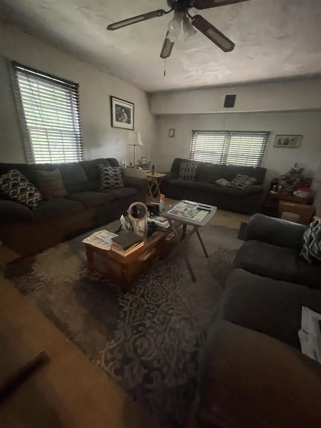 501 Briarwood Rd, Spartanburg, SC 29301 - photo 6