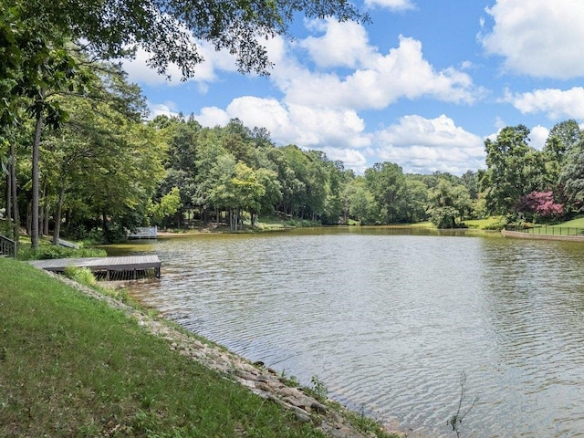 143 Morning Lake Dr, Moore, SC 29369 - photo 47