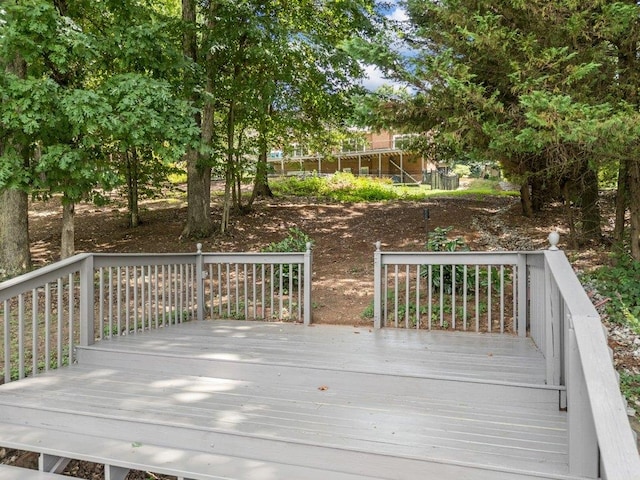 143 Morning Lake Dr, Moore, SC 29369 - photo 48
