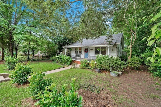 11 Brooks Ave, Greenville, SC 29617 - photo 3