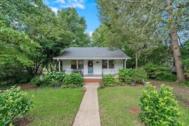 11 Brooks Ave, Greenville, SC 29617 - photo 5