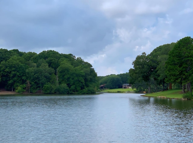 174 Rushing Waters Dr, Inman, SC 29349 - photo 4