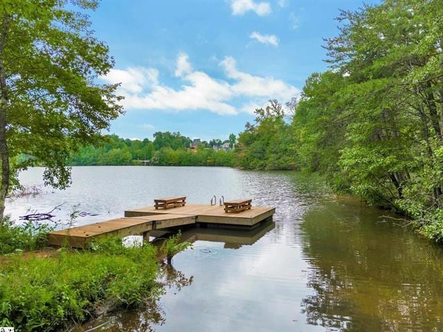 174 Rushing Waters Dr, Inman, SC 29349 - photo 6
