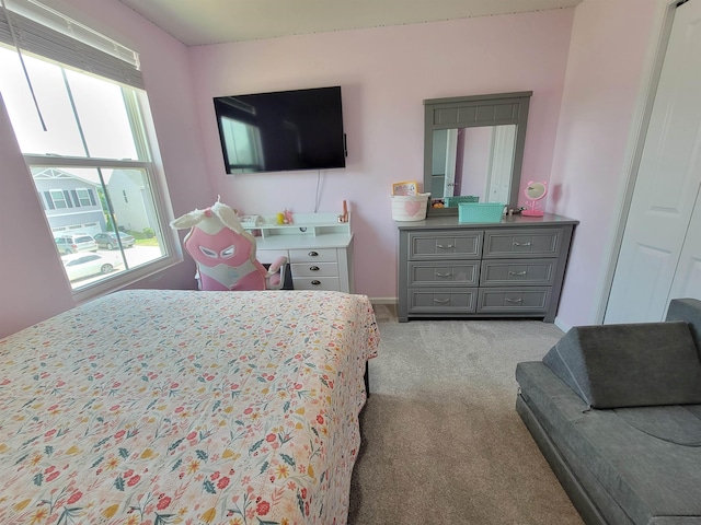 327 Hobson Way, Layman, SC 29365 - photo 34