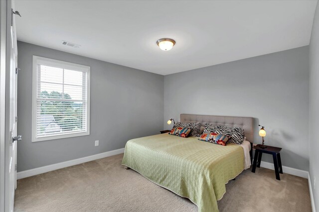337 Scotch Rose Ln, Greer, SC 29650 - photo 21