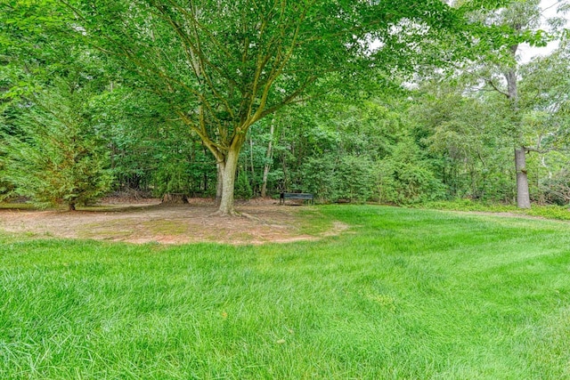 122 Beacon Hill Rd, Duncan, SC 29334 - photo 46