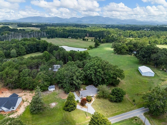 1150 Macedonia Church Rd, Campobello, SC 29322 - photo 47