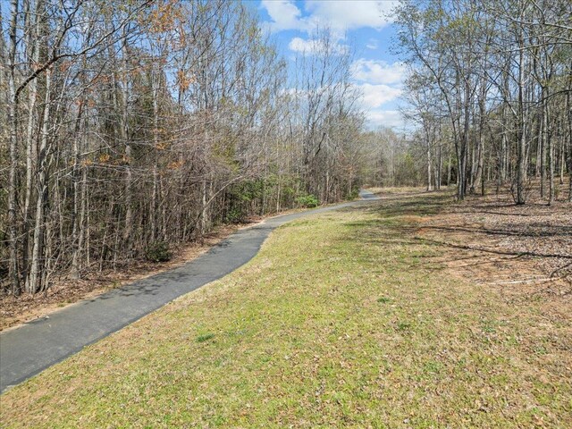9 Crimson Glory Way, Travelers Rest, SC 29690 - photo 12