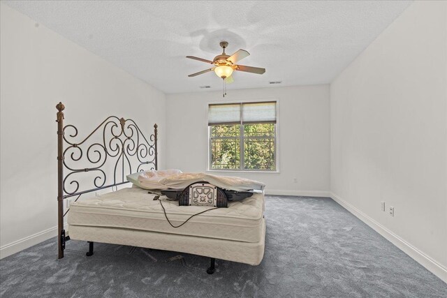 9 Crimson Glory Way, Travelers Rest, SC 29690 - photo 19