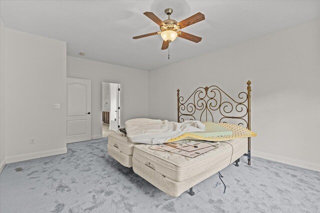 9 Crimson Glory Way, Travelers Rest, SC 29690 - photo 21