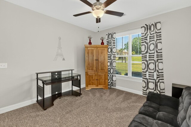 52 Wild Cherry Cir, Lyman, SC 29365 - photo 22