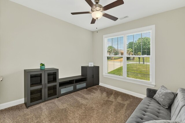 52 Wild Cherry Cir, Lyman, SC 29365 - photo 23