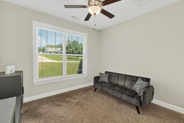 52 Wild Cherry Cir, Lyman, SC 29365 - photo 24