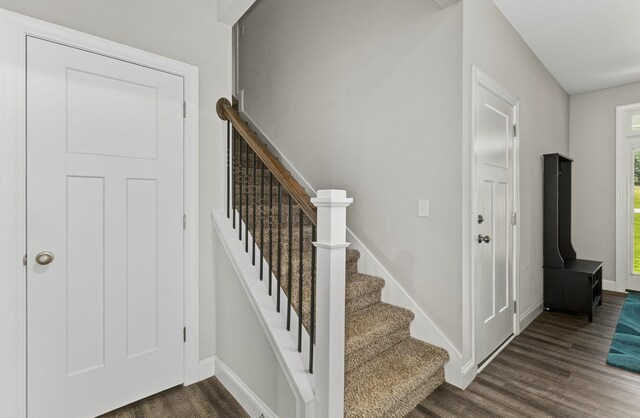 52 Wild Cherry Cir, Lyman, SC 29365 - photo 26
