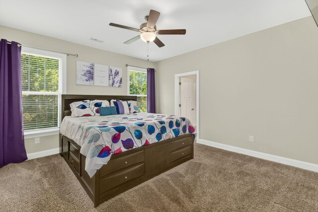 52 Wild Cherry Cir, Lyman, SC 29365 - photo 27