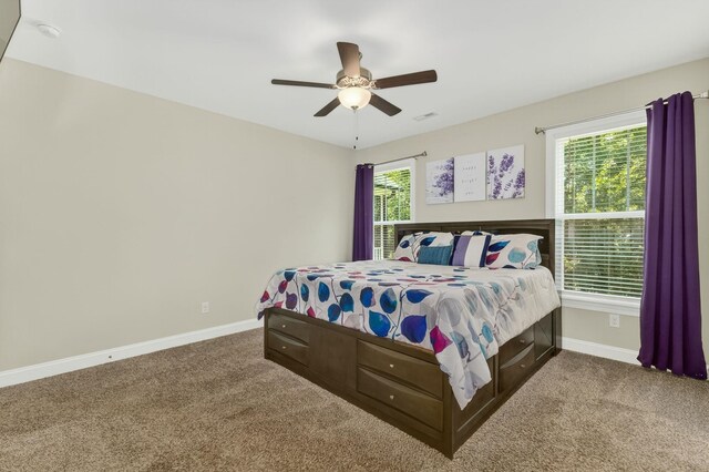 52 Wild Cherry Cir, Lyman, SC 29365 - photo 28