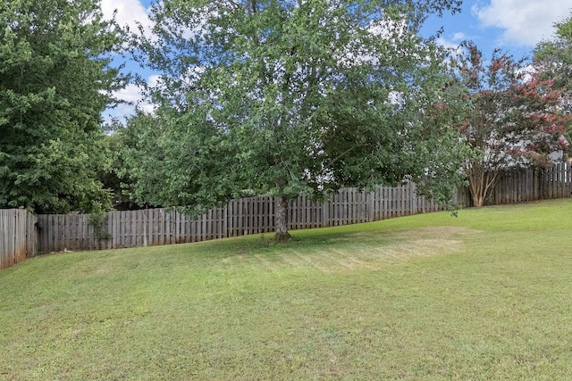 308 Bentley Ct, Spartanburg, SC 29303 - photo 44