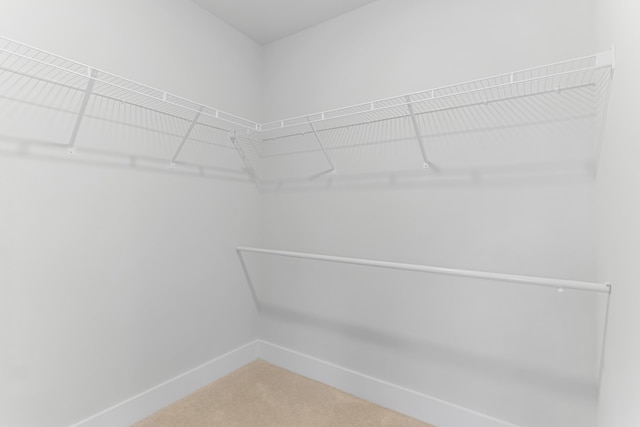 1031 Millison Pl, Moore, SC 29369 - photo 16