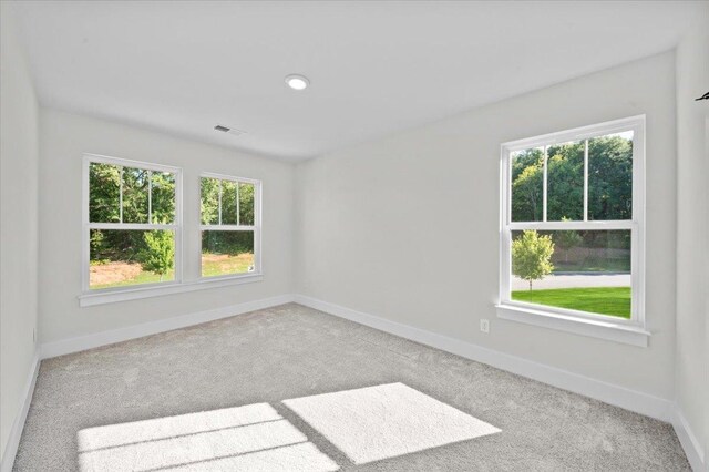 1007 Millison Pl, Moore, SC 29369 - photo 22