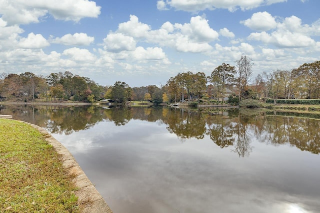 206 W Killarney Lk, Moore, SC 29369 - photo 46
