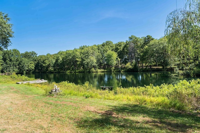 1060 Moss Lake Dr, Clover, SC 29710 - photo 31