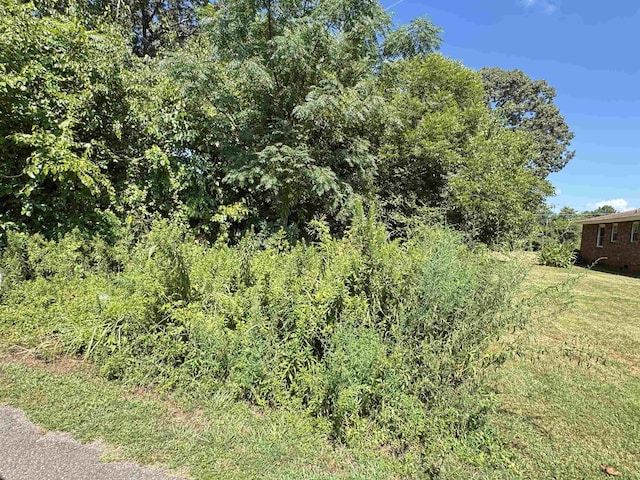 LOT31 Sims Ln, Spartanburg, SC 29307 - photo 1