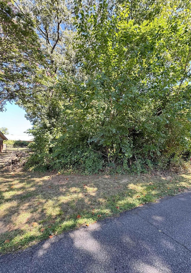 LOT31 Sims Ln, Spartanburg, SC 29307 - photo 2