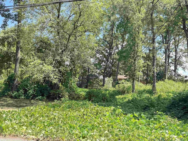 LOT20 Peach Valley Cir, Spartanburg, SC 29303 - photo 1