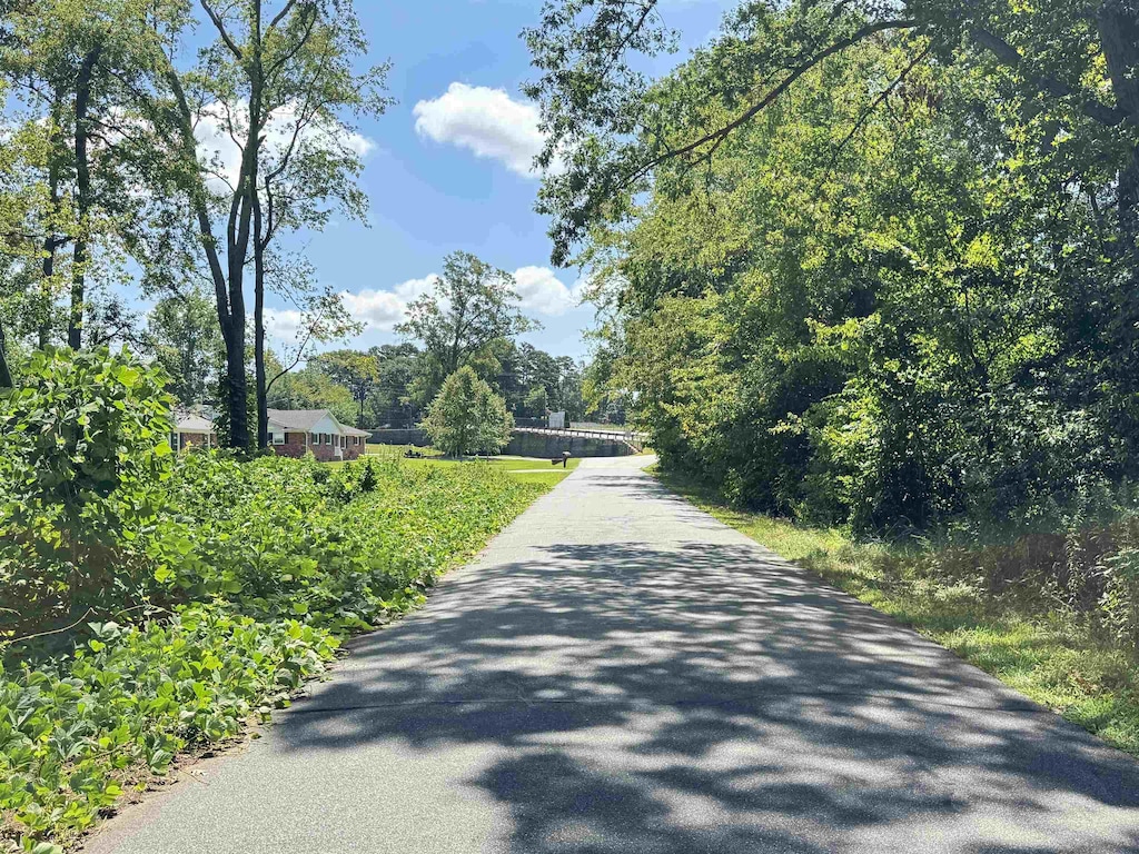 LOT20 Peach Valley Cir, Spartanburg, SC 29303 - photo 3
