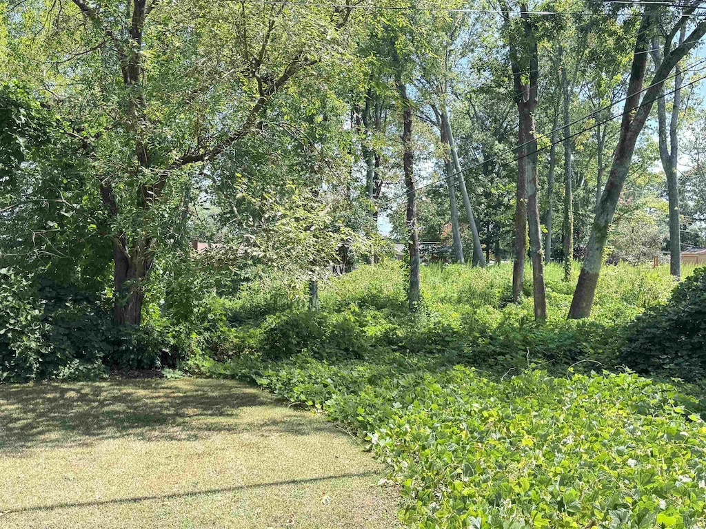 LOT20 Peach Valley Cir, Spartanburg, SC 29303 - photo 2