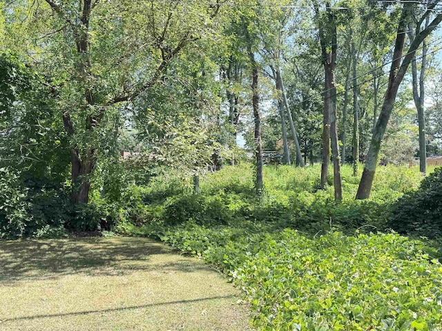 LOT20 Peach Valley Cir, Spartanburg, SC 29303 - photo 2