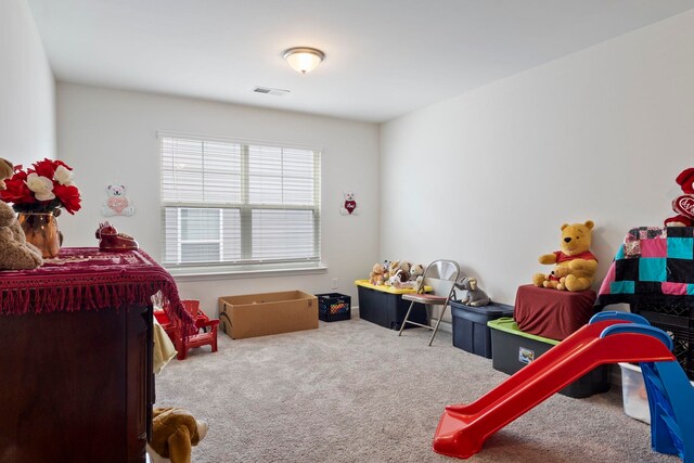 182 Crisp Cameo Ct, Greer, SC 29651 - photo 19