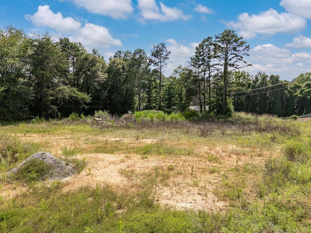 00 Trammel Rd, Woodruff, SC 29388 - photo 1